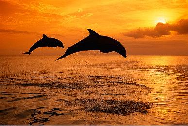 Switch早期系统界面曝光 采用上下结构