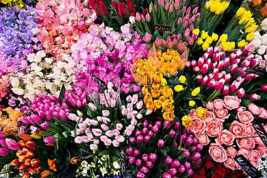 开罗游戏多款Switch游戏圣诞促销 最大半价优惠